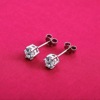 Classic universal earrings suitable for men and women, Korean style