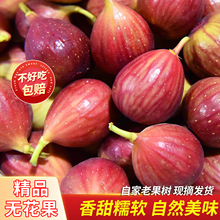 �tƤ�o�����r�����r�ЋDˮ��3������������������Ƥ�o������