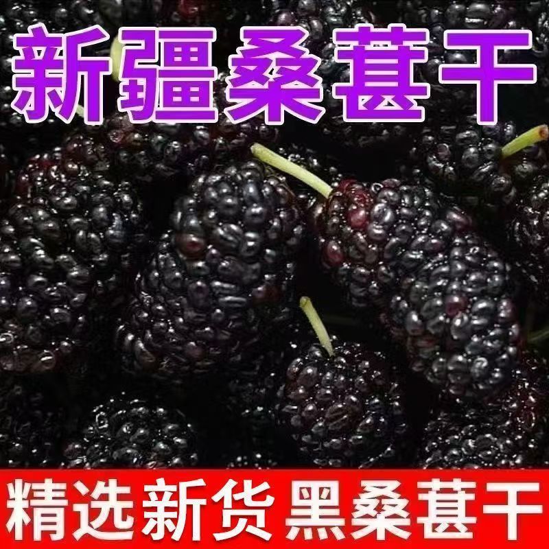 乾燥桑の実 0.5kg 送料無料 桑の実 大量卸売 仕様一式 お一人様ご購入 商業用ドロップシッピング|undefined
