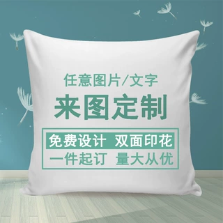 抱枕定制logo来图定做照片diy定制沙发抱枕靠现代简约抱枕
