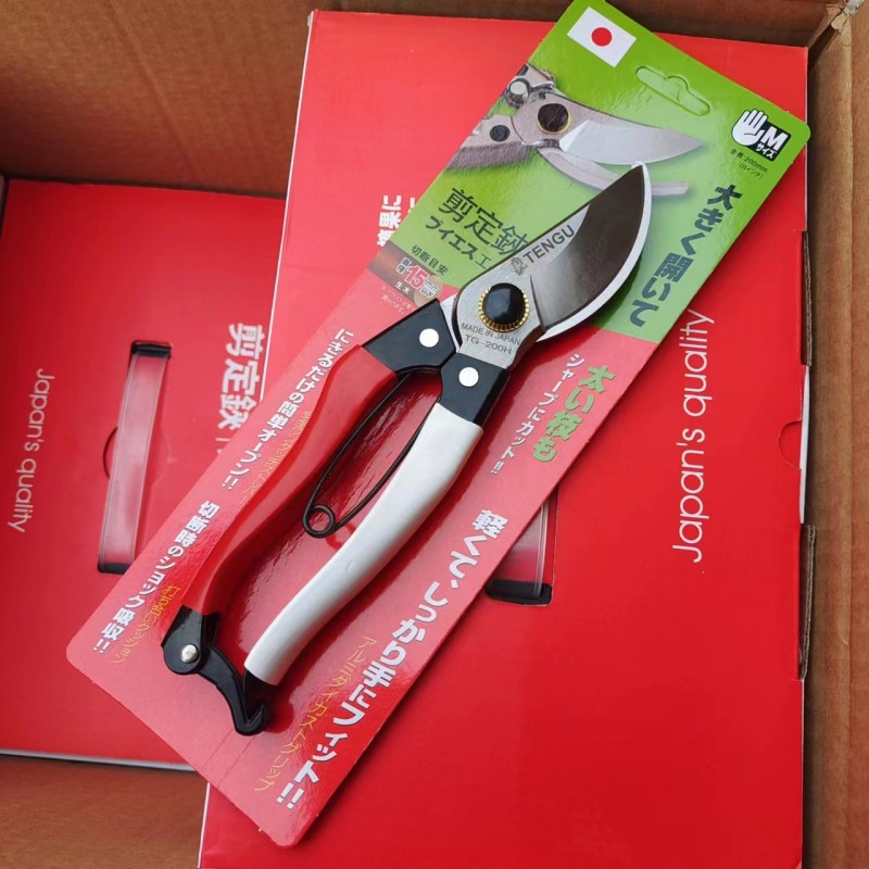 园林工具修枝剪 园艺粗枝树枝剪多功能家用省力果树枝剪刀厂家