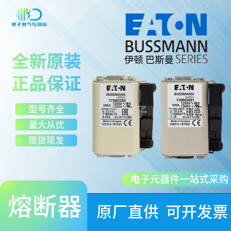 170M3388 170M3389 170M3390 170M3391巴斯曼Bussmann快速熔断器
