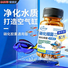 硝化细菌胶囊鱼缸净水除氨氮观赏鱼培养水专用鱼缸水质稳定剂