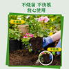 生长魔励 Nutritional solution universal fertilizer potted plant hydroponic flower polychide fertilizer fertilizer fertilizer