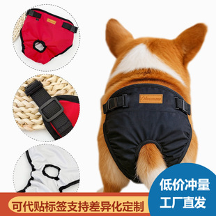 ��������ѝĸ���������½�ѝ������T���}�_����С��Ȯͨ��