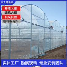 连栋薄膜温室养殖大棚镀锌骨架温室育苗大棚瓜果采摘大棚薄膜大棚