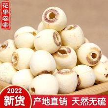 【包邮】特级新货湘潭白莲子干货无芯磨皮莲子纯天然无硫带芯去芯