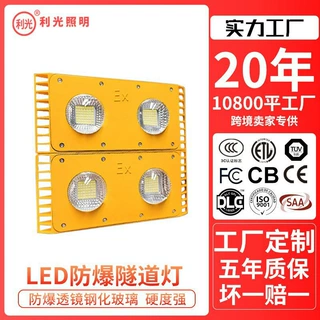led隧道防爆三防灯36v防爆灯220v矿井仓库加油站工程投光灯隧道灯