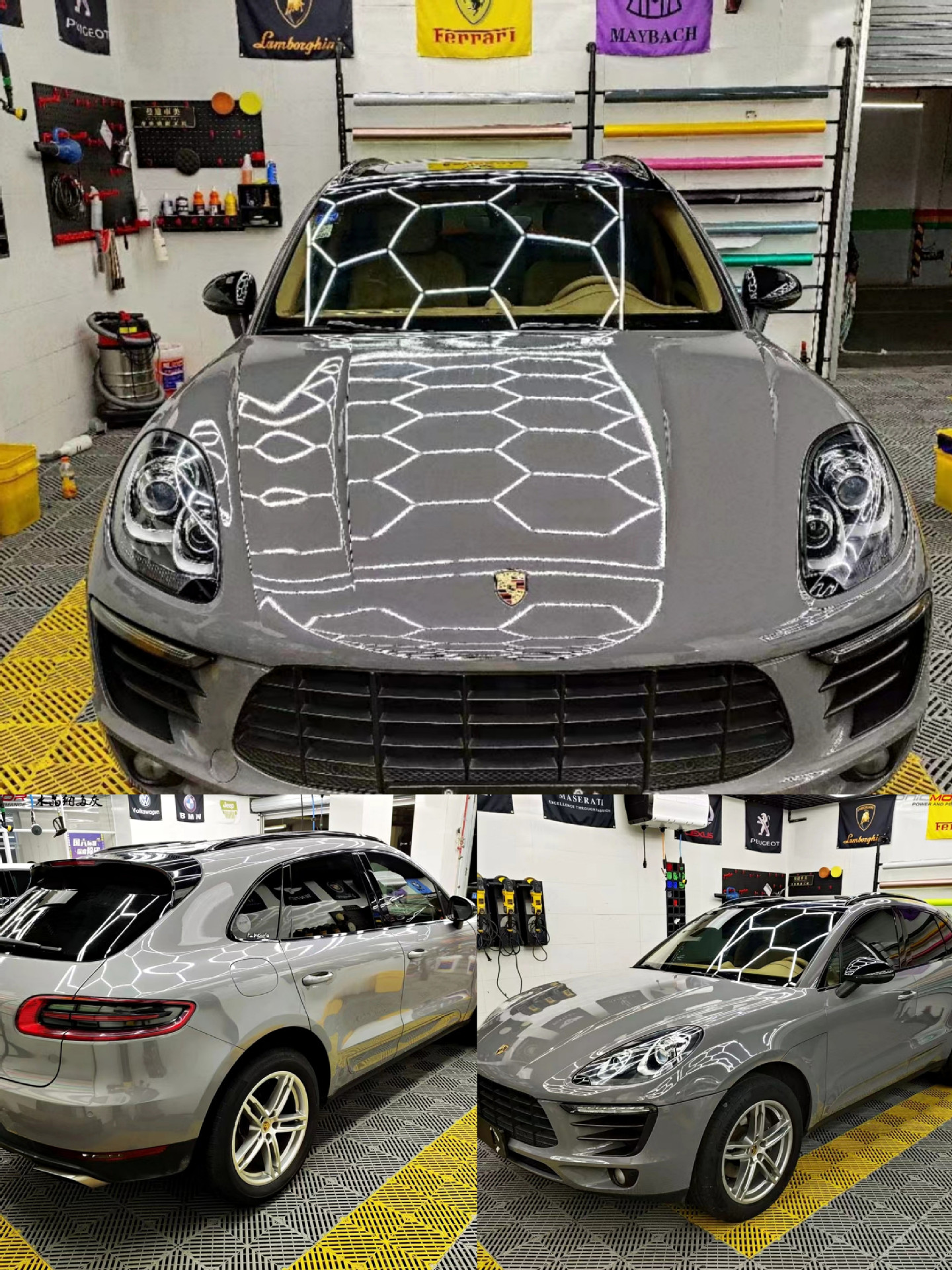 PET 크리스탈 나도 그레이