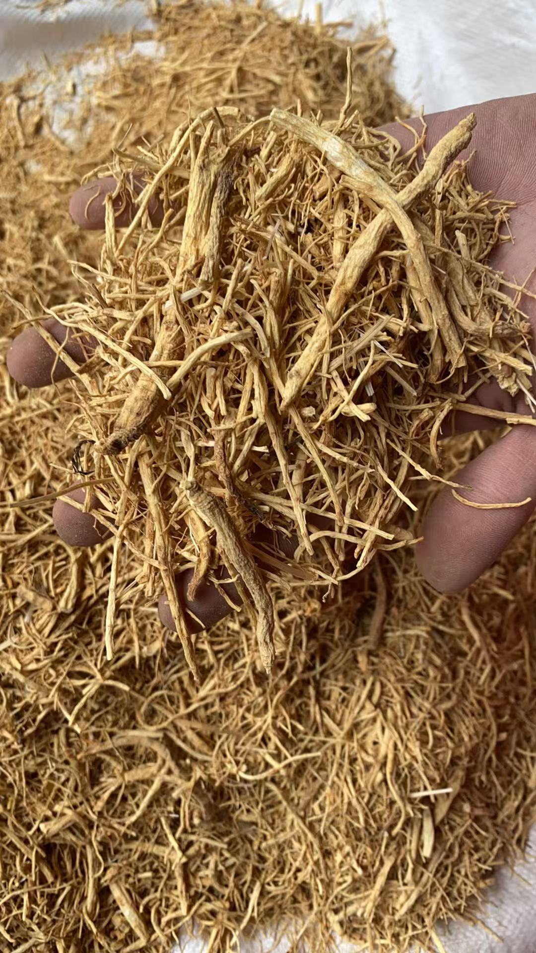 Ginseng Rootlets Bai Shen Xu Dried White Ginseng Fibrous Roots for Soup and Decoction 500g key features