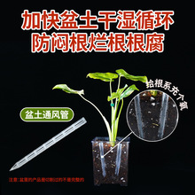 ����ͨ�L�ܻ�����ö��⻨����������������бP���ϻ���rˮ��