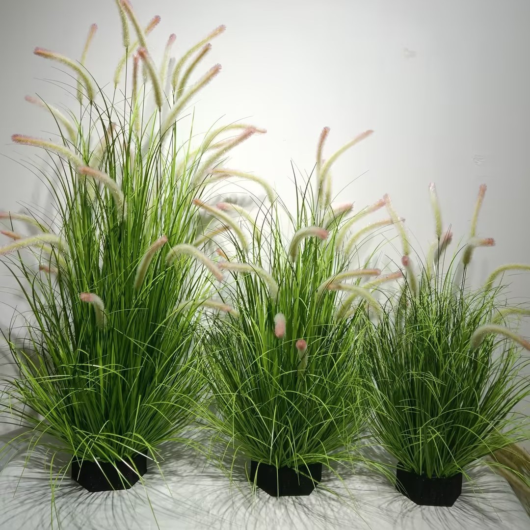 Nuevo blanco y verde cifrado Dogtail hierba (120cm)