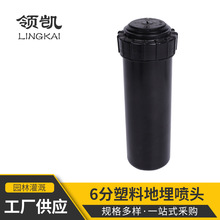 �S�ҹ���6�֘����Ԅ�����������s���^ �����ƺ�G��������·�B�o