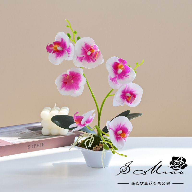 Nueva Phalaenopsis Bonsai de tres horquillas flor artificial decoración creativa Planta artificial suministro directo de fábrica de una sola pieza entrega image 4