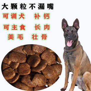 General Dog Food Teddy Golden Retriever Bichon Frize Samoyed Corgi Adult Dog Puppy Adult Dog Large Dog Medium