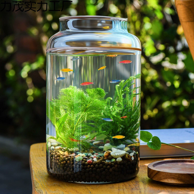 Стеклянный аквариум для офиса, смоляной декор, для любимого