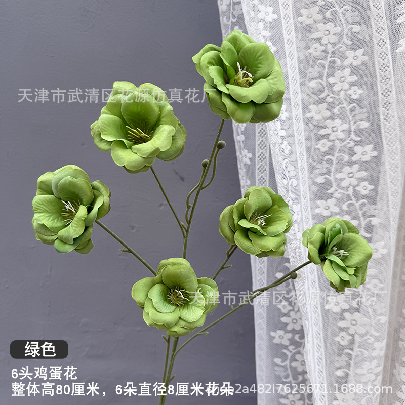 6송이 플루메리아 - 그린