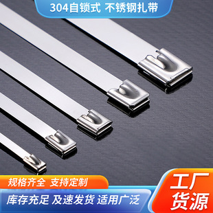 Stainless Steel Cable Ties 304 Self-Locking Metal Pull Tightener Bridge Ball Cage Bundled Cable Ties Multi-Functional Cable Ties