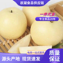 ���ջʹ����� ���l3/9�����r������Ƥ������֭�ЋDˮ���ǲʺ���