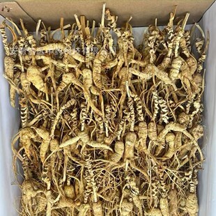 �����h�����υ���Ұ��ɽ�������Ѳ�����20������100����