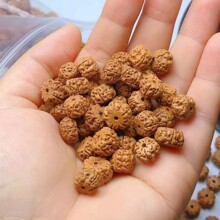 ��ʽ��������ɢ���ִ���������ɢ�яS��ֱ�N�������l