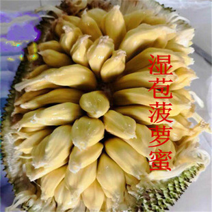 ���}�ۘ����޽ӹ�������ļ�ˮ�����҃���ͥԺ���ԷN���ͺ���ľ