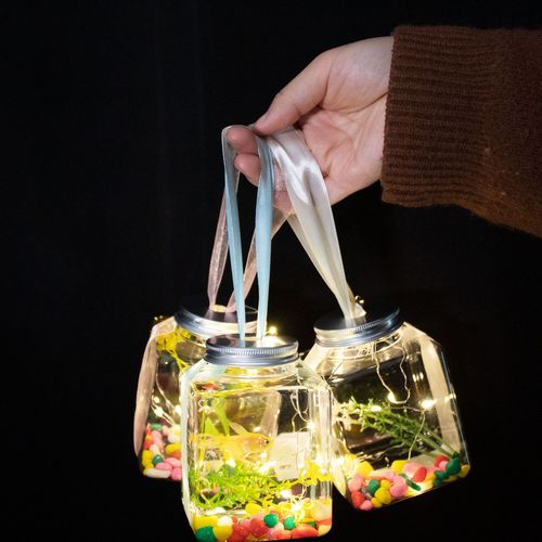Internet-famous glowing jar, fish bottle, park night market stall—glowing fish bottles, tiny luminous fish jars, turtle-shaped bottles, and illuminated plastic jars turned into turtle tanks.