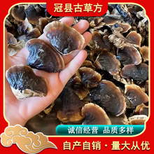 【包邮】长白山小金边灵芝菌香不苦批发金边小灵芝泡茶煲汤泡酒