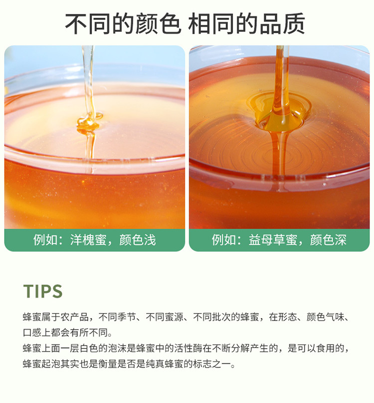 6瓶装蜂蜜750_12.jpg