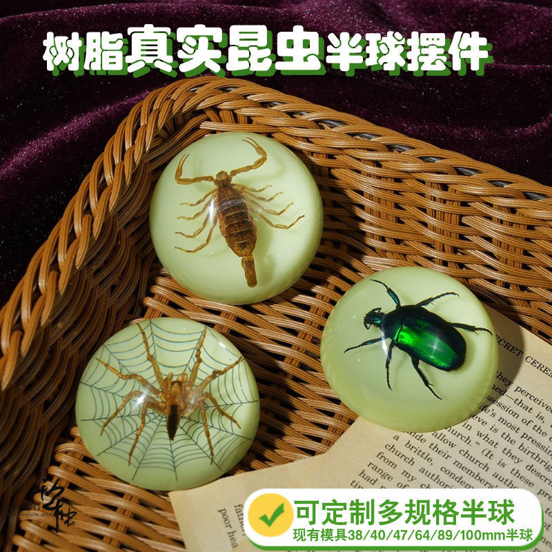 New insect specimens marine butterfly gum resin beetle spider scorpion semi-ball tabletop ornament handmade