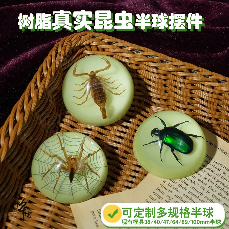 新款昆虫标本海洋蝴蝶滴胶树脂金龟蜘蛛蝎子半圆球桌面摆件手工