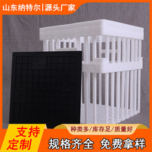�S�����l�������D�� pp���u���� �Ӵ�N����  �¿�N���� �{�ؠ�