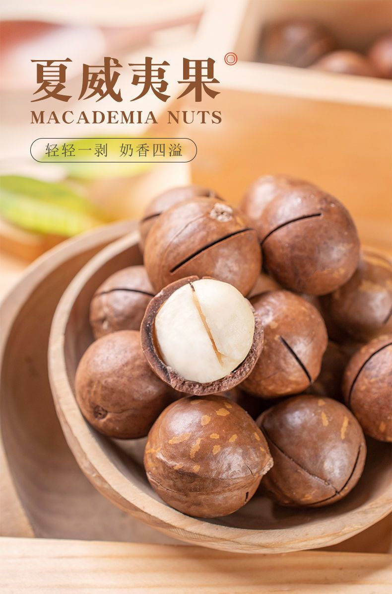Macadamia Nuts 500g Bag Roasted Milk Flavor Snack Nuts with Opener overview
