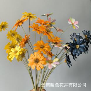 �����ӻ���insС���¸ɻ����ӻ��ֹ�����С�����Ҿ��b[�ĵ���