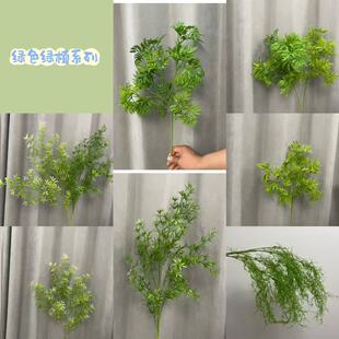 ��c��ˇ����Gֲ�۲��~ ���w���~ �՚�� ���þGɫ���� ���ϻ�Y