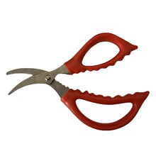 �S��ֱ�N���r�����Q�з�����Q�N��С���߄��r��ȥ�rƤ��������