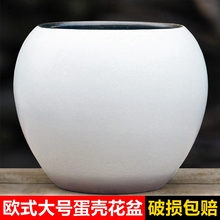 ���⻨���ڏ��߷���Gֲ͸����ռӺ������μ��ݸ������Ϙ�����