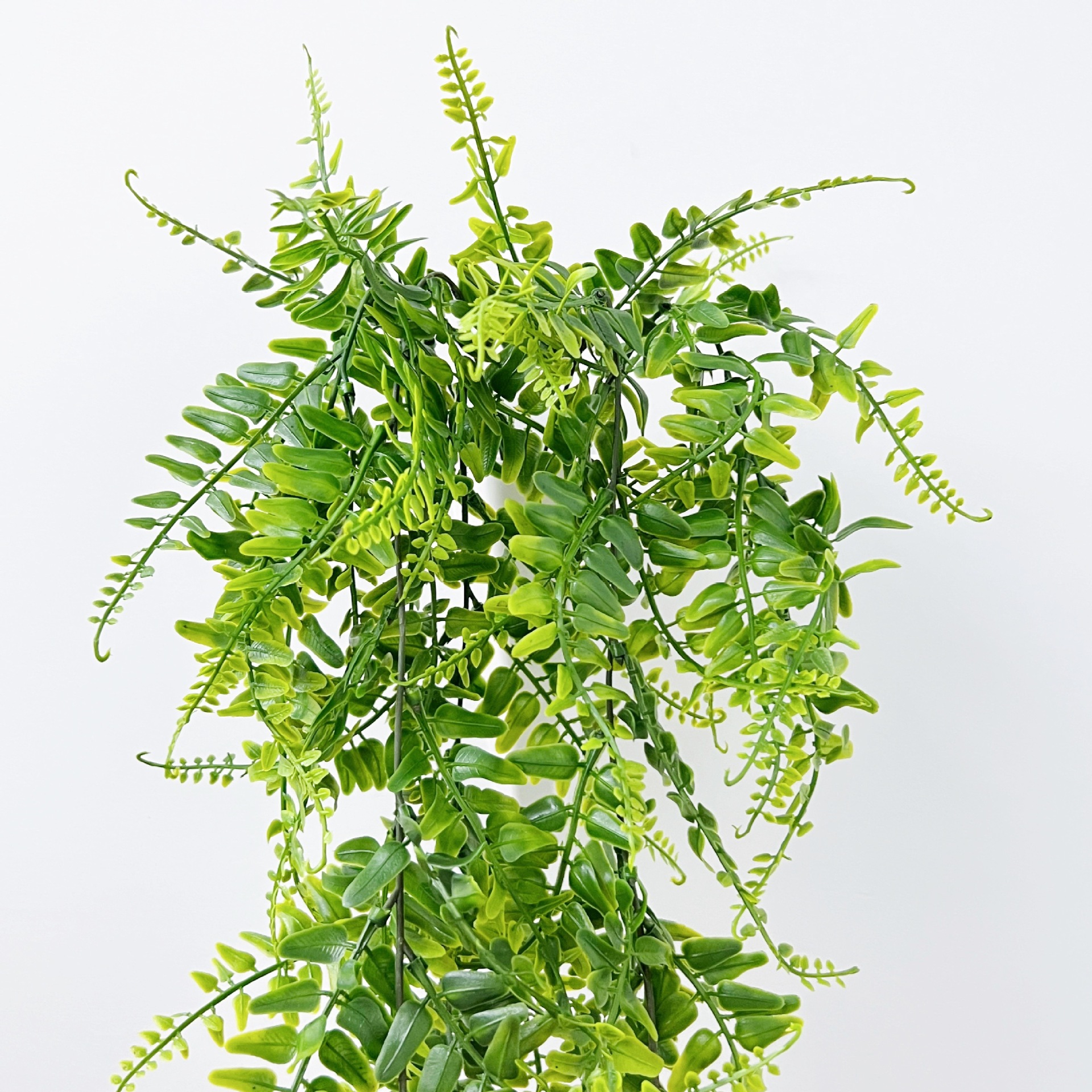 微信图片_20220705142958