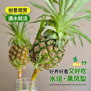 ���}ˮ��������ˮ�r���P���r�л��^�pˮ�B��ʳ��Ȥζ