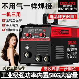 德力西工业5KG二保焊机电焊一体家用220V无气保护自动出丝氩弧焊