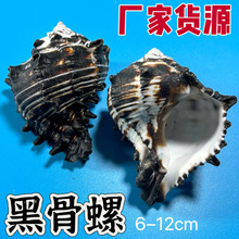 �ڹ�����Ȼ���ݔ[���˱��쾰�bľ�з��Q�� �ڹǴ���