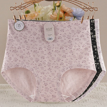 ����Ůʿ��ѝ2026�¿��H�w��м����ո�����7A�����黨����ѝ���l