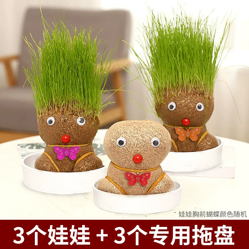 [批发草头娃娃浇水头上长草人绿植长头发儿童好养种草幼儿园桌面小]
