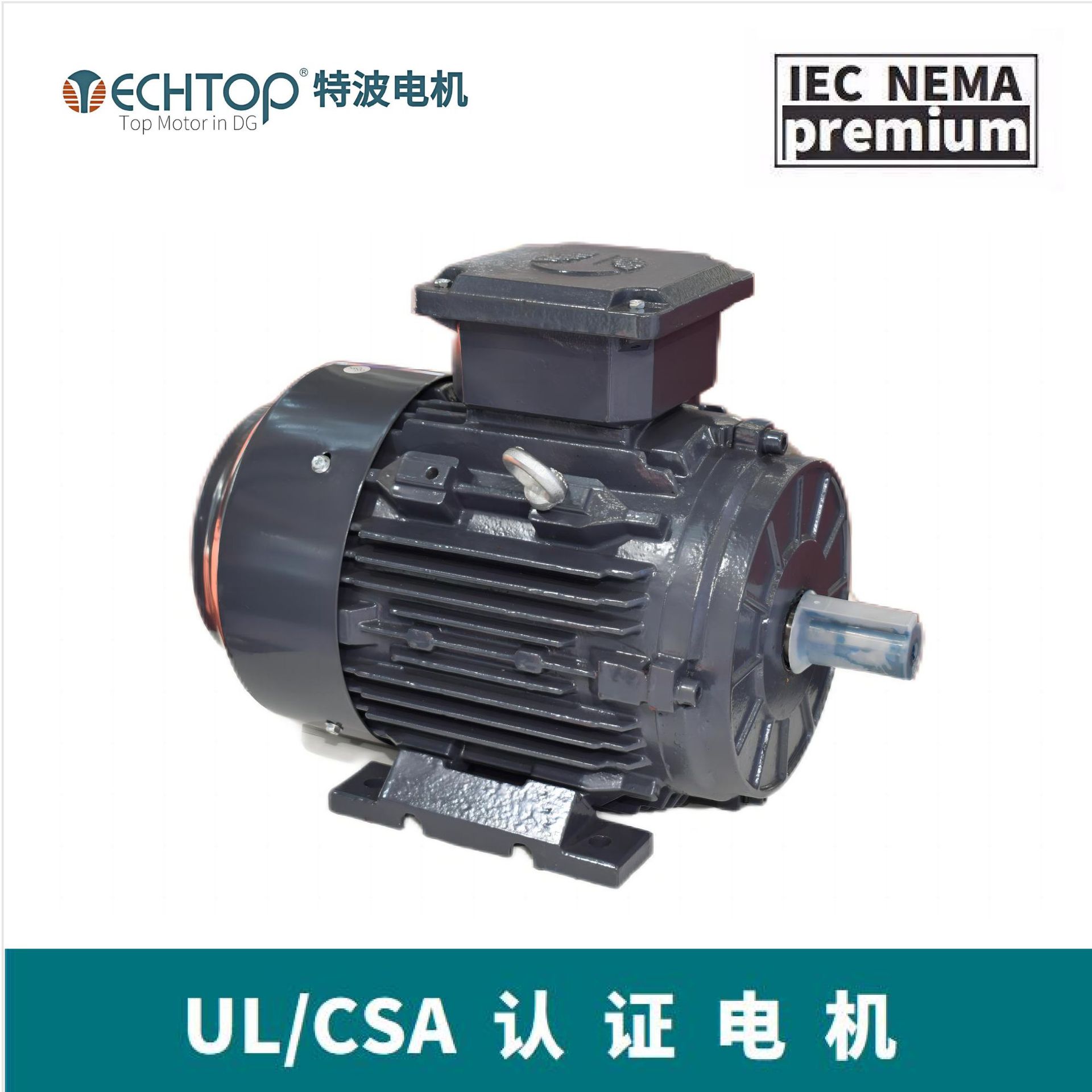 TECHTOP特波 IE4三相交流异步高能效电机 TC200L1-2 UL/CE认证