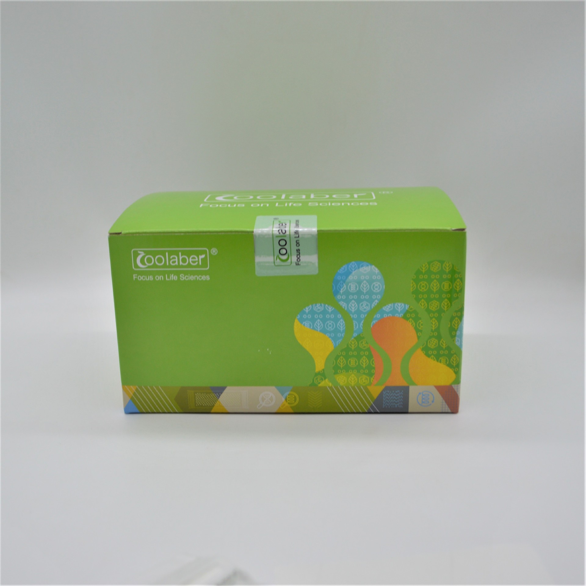 Lowry法蛋白浓度测定试剂盒