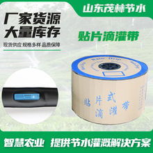 定制贴片式滴灌带1000/2000米/卷水迷宫式流道滴灌带 农用滴灌带