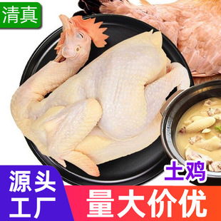 �����u���l���S�u��ֻ�חl�u���ʳ�����������u���r���i�r