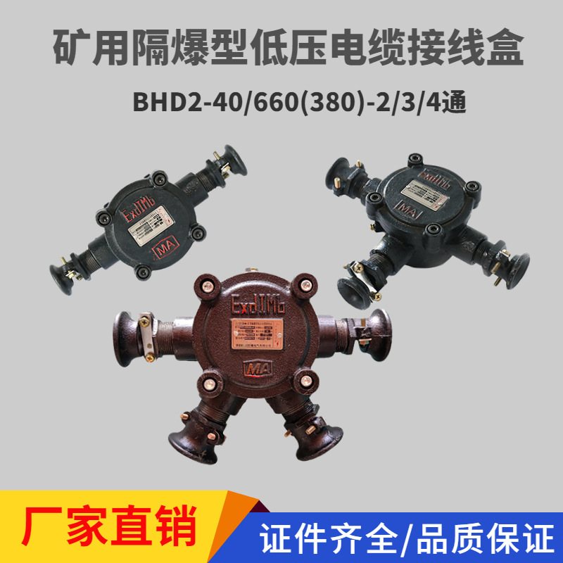 BHD2-40/660(380)-2T/3T/4T矿用低压接线盒40A矿用防爆电缆分线盒