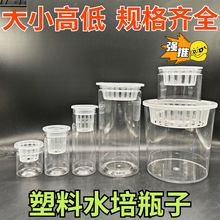 ͸������ˮ�໨��A���Ύ���ֲ�@��ˮ��ˮ���߲˶��ӷN�ӻ��ܾGֲ