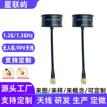 �AͲ�ΈD������FPV�쾀1.2G/1.3GHz��Խ�C�o�˙C�쾀